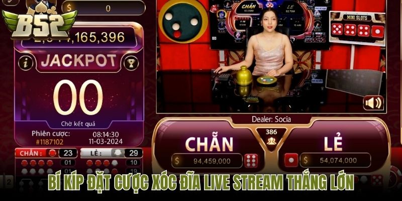 Bí kíp đặt cược Xóc Đĩa live stream thắng lớn