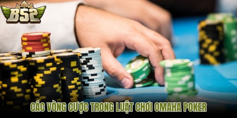 Các vòng cược trong luật chơi omaha poker