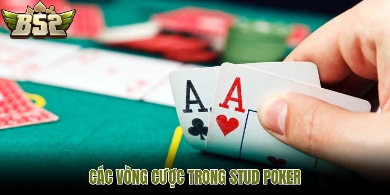 Các vòng cược trong stud poker