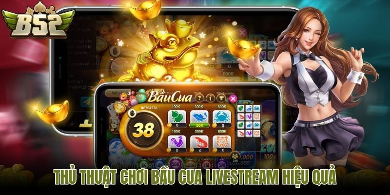 Thủ thuật chơi Bầu Cua Livestream hiệu quả